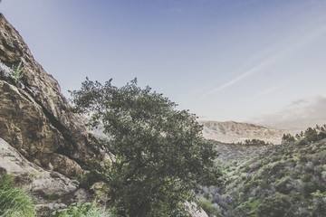 Griffith Park Mountains 