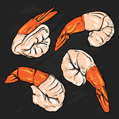 Shrimp cocktail drawing on a black background. Hand drawn seafoo