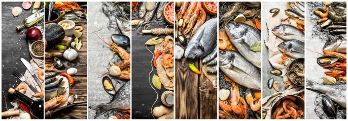Lebensmittelcollage aus Meeresfrüchten. © Artem Shadrin