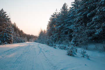 Winter road among pines at sunset - snow covered ural forest