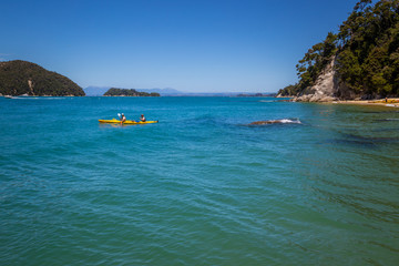 Fototapeta na wymiar Recreational kayaking in beautiful landscape with blue ocean and clear sky, Abel Tasman New Zealand