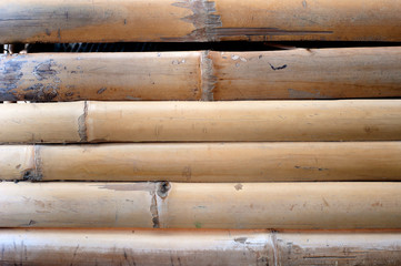 bamboo texture background