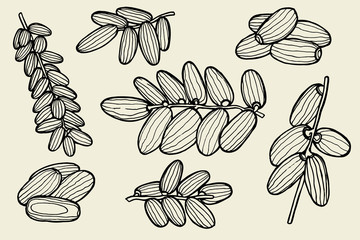 Vector illustration of dates