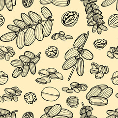 seamless pattern hand sketched nuts