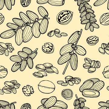 seamless pattern hand sketched nuts