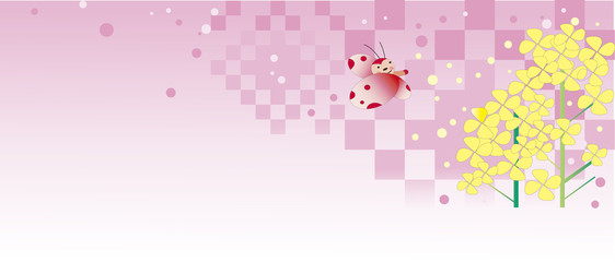 菜の花と蝶の背景