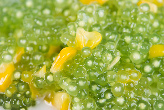 Thai dessert of tapioca pearls pudding