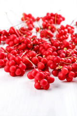 Schisandra chinensis or five-flavor berry.