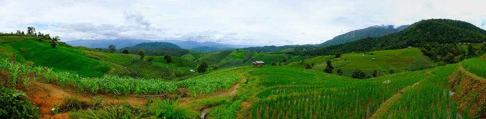 Fototapeta na wymiar Beautiful rice terraces at Ban Pa Pong Pieng, Mae chaem, Chaing