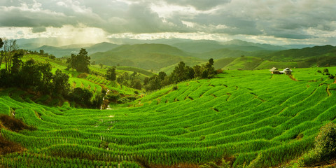 Beautiful rice terraces at Ban Pa Pong Pieng, Mae chaem, Chaing