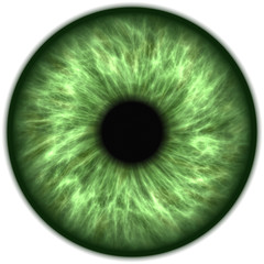 Illustration of a green human iris. Digital artwork creative graphic design.