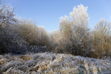 Fairytale snowy winter countryside with blue Sky in Bohemia, Czech Republic