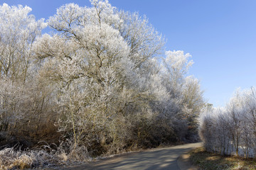 Obraz na płótnie Canvas Fairytale snowy winter countryside with blue Sky in Bohemia, Czech Republic