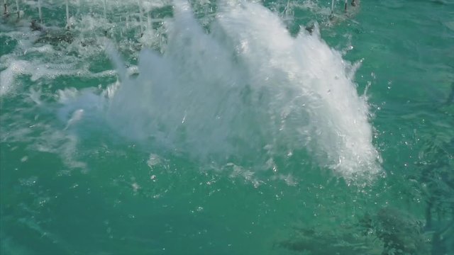 Small artesian fountain. Slow motion
