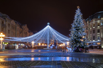 Netting with lights. Christmas decoration. Night scene.