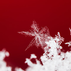 natural snowflakes on snow, photo real snowflakes during a snowfall, under natural conditions at low temperature