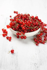 Red currants in white bowl
