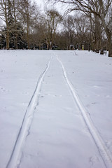 Fototapeta premium Sleigh traces on snow in park