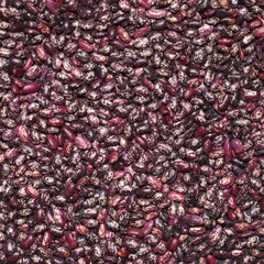 Purple speckled kidney beans