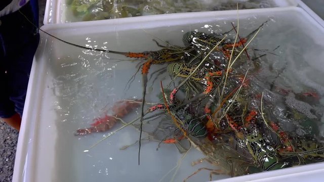 Fresh market Seafood in Thailand