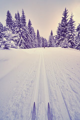 Retro stylized photo of cross-country skis on tracks