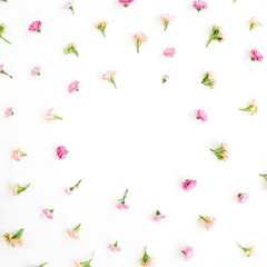 Frame with pink and beige wildflower buds, green leaves, branches on white background. Flat lay, top view. Valentine's background