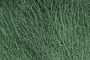 Green leather texture, leather background for design with copy space for text or image. Pattern of leather that occurs natural.