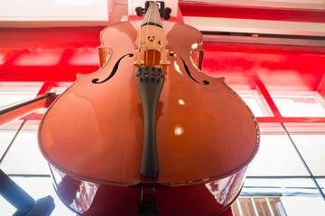 Violin orchestra musical instrument in the shop