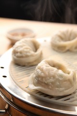 Meat Dumplings