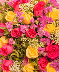 Abstract background of flowers. Close-up