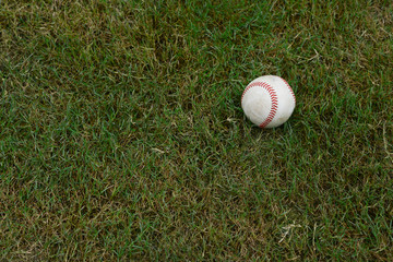 baseball on grass