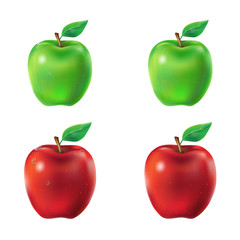 Set of illustration green and red apples