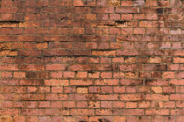 Red brick wall