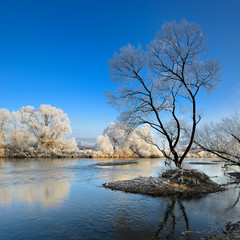 Winter am Fluß, von Raureif bedeckte Bäume und kleine Inseln