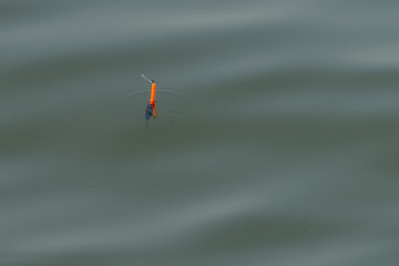 Fototapeta premium Red angling in the river