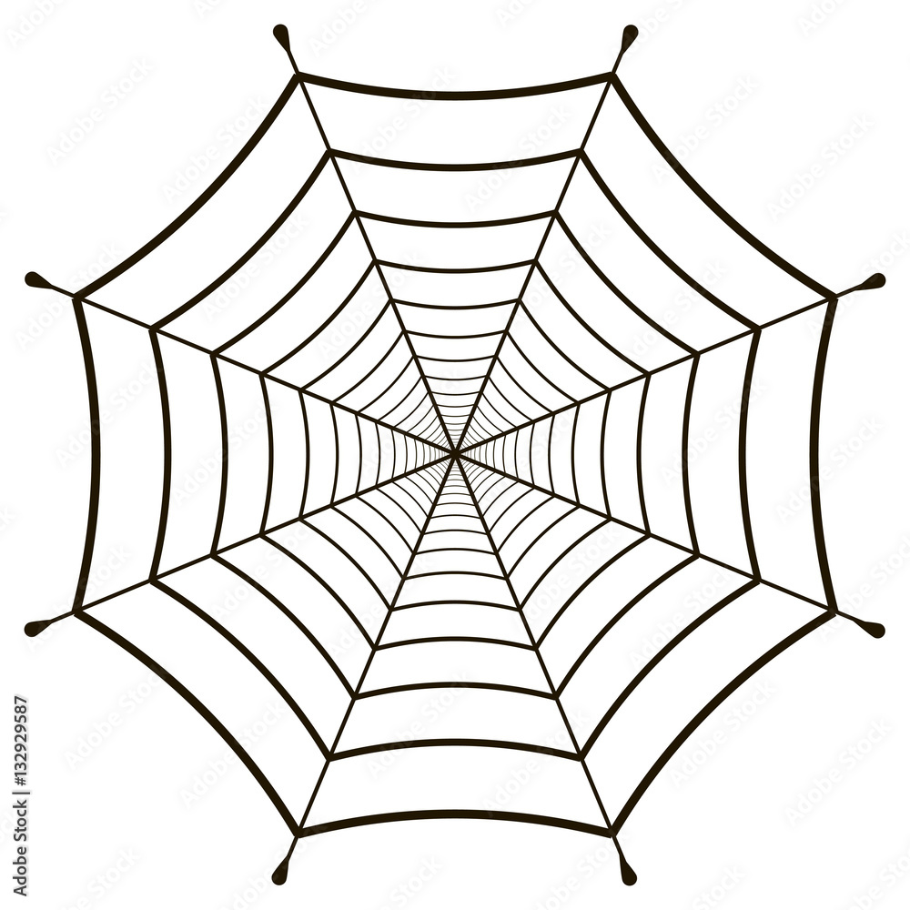Poster cobweb  spiderweb gossamer