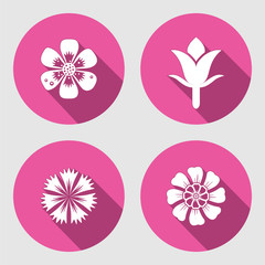 Flower icons set. Chamomile, daisy, blue poppy, Cloves. Spring flowers. Floral symbols with leaves. Colored signs. May be used in cuisine. Vector isolated.