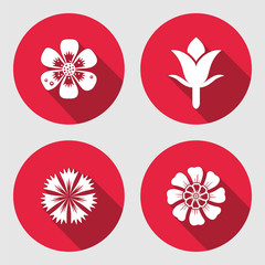 Flower icons set. Chamomile, daisy, blue poppy, cloves. Floral symbols. Round circle flat sign with long shadow. May be used in cuisine. Vector