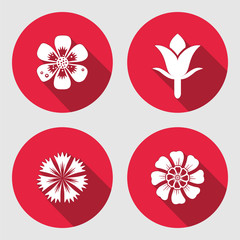 Flower icons set. Chamomile, daisy, blue poppy, cloves. Floral symbols. Round circle flat sign with long shadow. May be used in cuisine. Vector