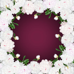 Beautiful floral background with white peonies 