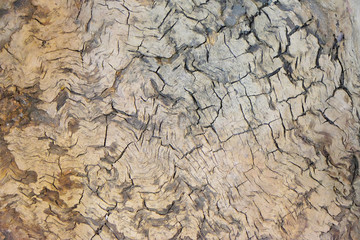 background from the cracked wood