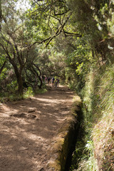 Tourist is walking  along irrigation canals. Historic water supply system, known as Levada in tropical forest, Madeira Island, Portugal