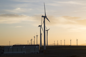 Wind Turbines at Dusk, Aragon