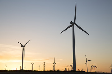 Obraz premium Wind Turbines at Dusk, Aragon