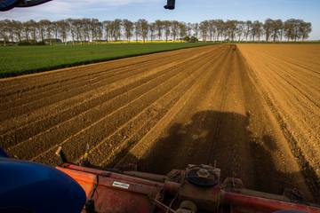Travail de la terre pour buttage de pommes de terre