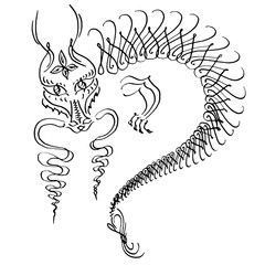 Calligraphy ink dragon hand drawn by pen in vector