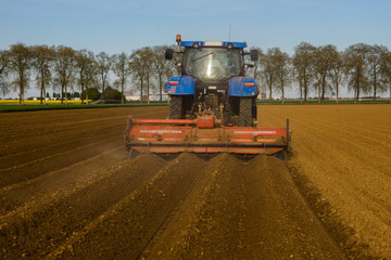Champ de pommes de terrre en cour de butage