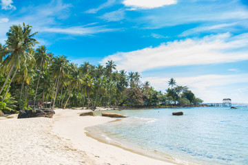 coconut tree at white beach in Thailand sea