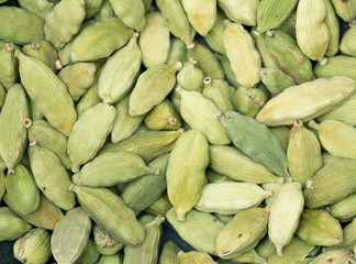 cardamom texture