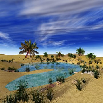 Oasis in the desert. Palm trees around the lake.
